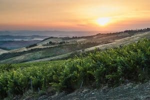 Debut des Tenuta di Trinoro 2017 begleitet von einem neuen Weißwein