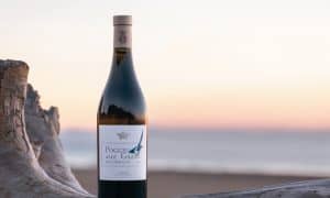 Poggio alle Gazze dell’Ornellaia 2017, ein großartiger Weißwein von der Küste der Toskana