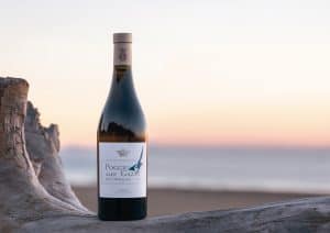 Poggio alle Gazze dell’Ornellaia 2017, ein großartiger Weißwein von der Küste der Toskana