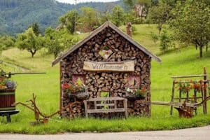 Hotel Tannhof: Frühlings-Flittertage für Verliebte im Schwarzwald